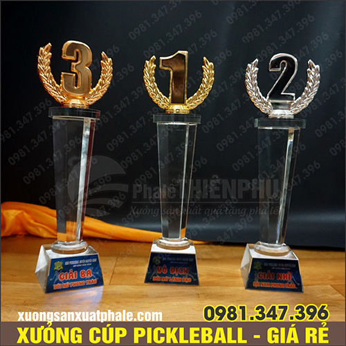Cúp giải pickleball 06