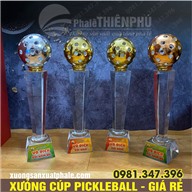 Cúp giải pickleball 16