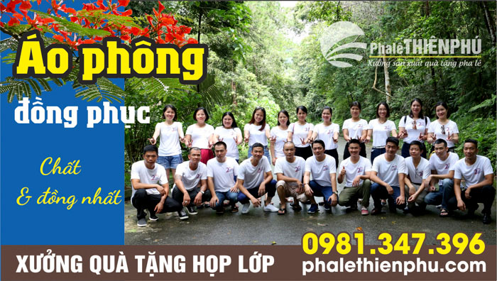 Áo phông họp lớp