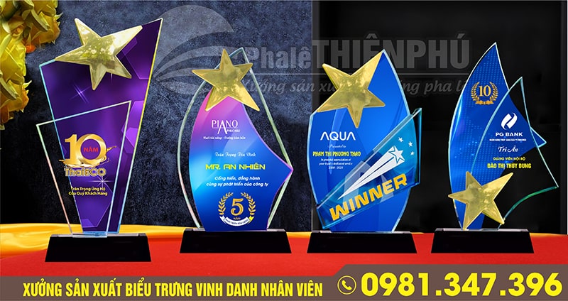 biểu trưng vinh danh nhân viên cuối năm 06