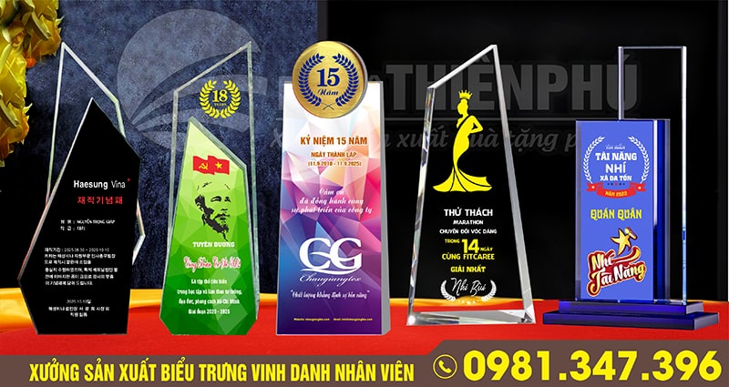 biểu trưng vinh danh nhân viên cuối năm 08
