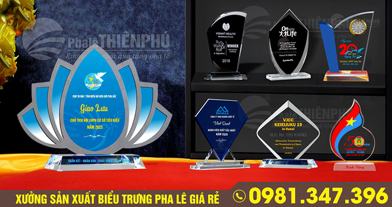 kỷ niệm chương pha lê 06