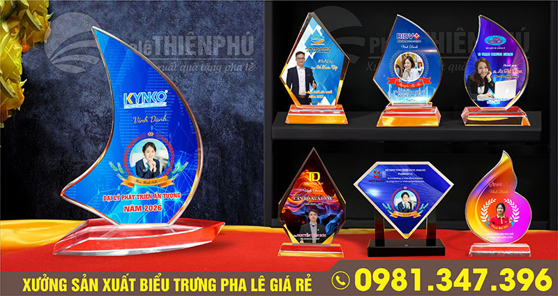 kỷ niệm chương pha lê 14