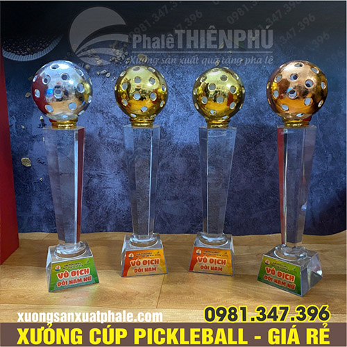 Cúp đấu giải pickleball mẫu 16